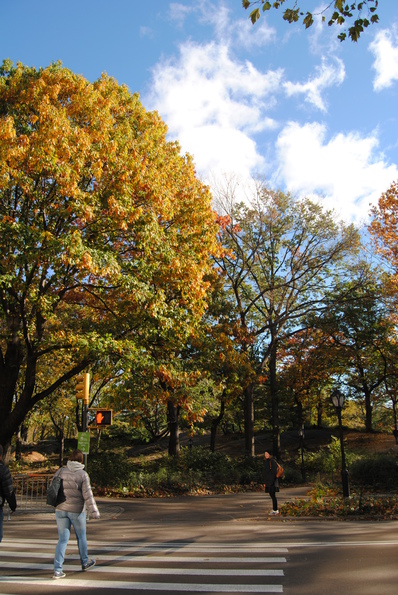 Central Park med Johanna.