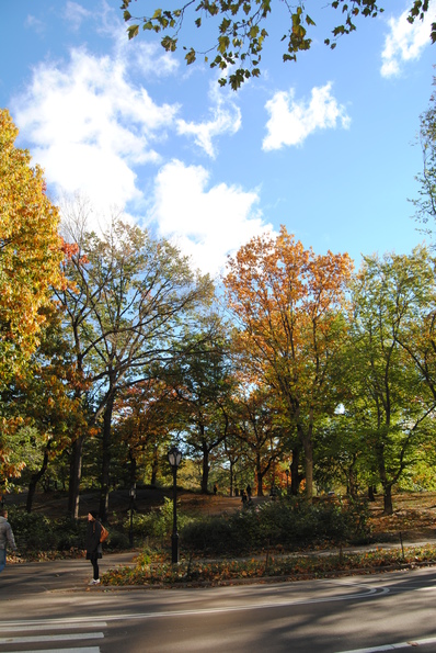 Central Park med Johanna.