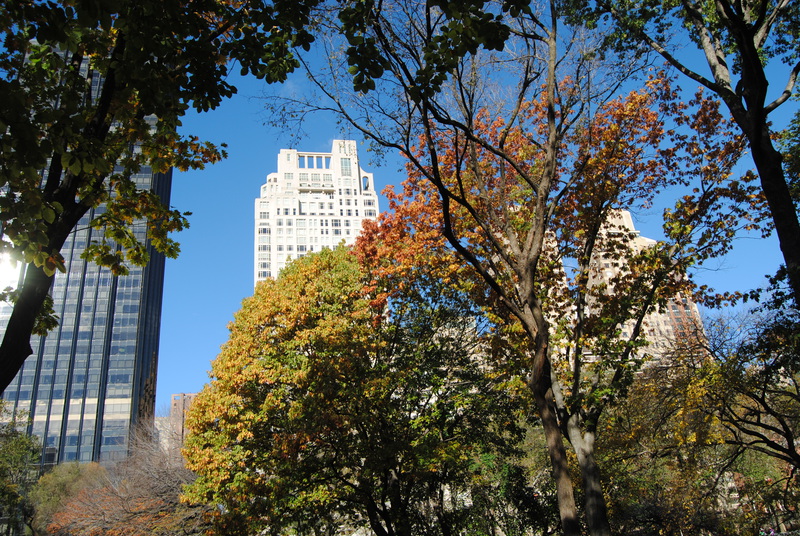 Central Park.