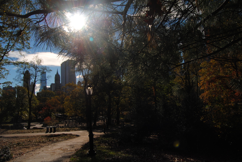 Central Park.