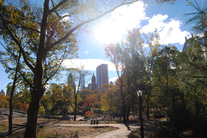 Central Park.