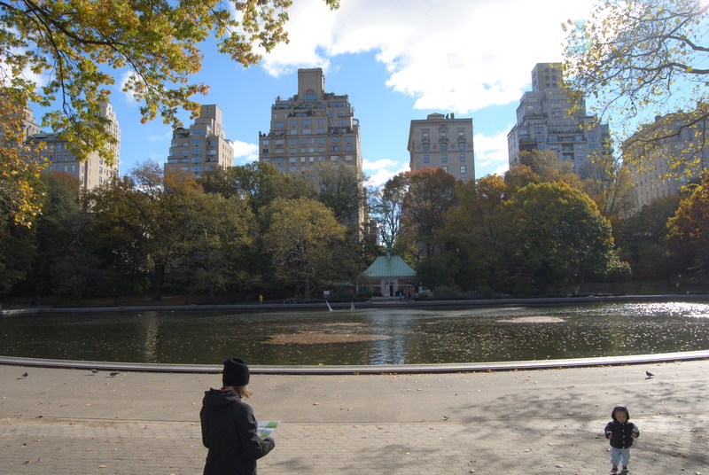 Damm i Central Park.