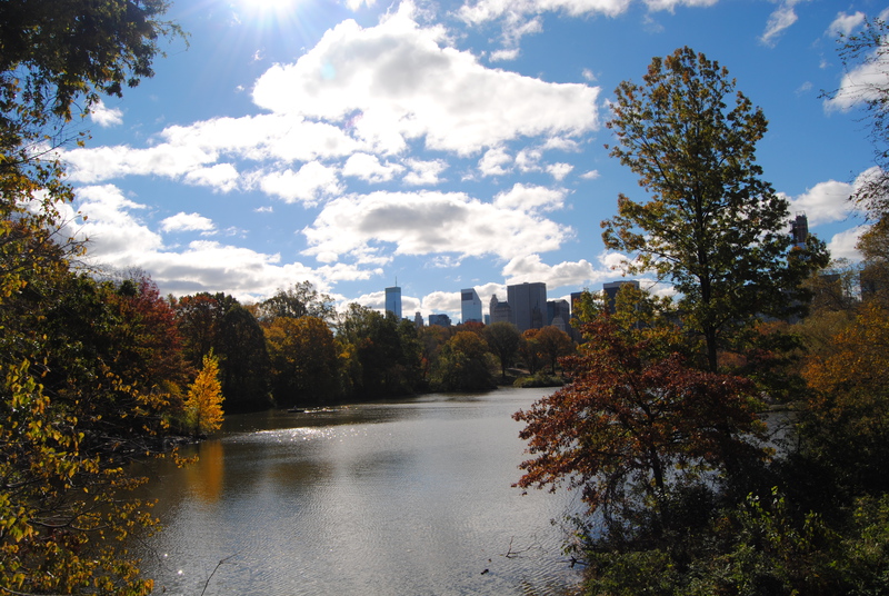 Central Park.