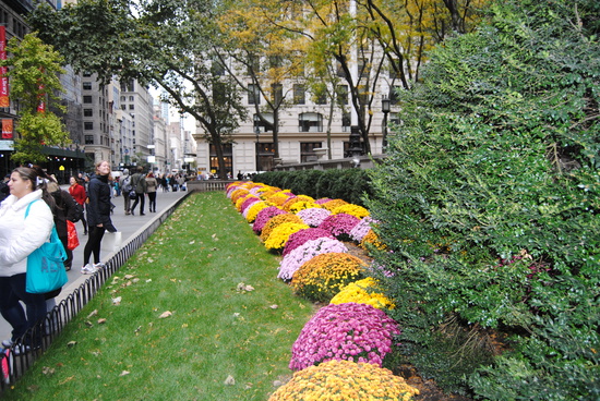 Johanna bland blommor utanför New York Public Library.