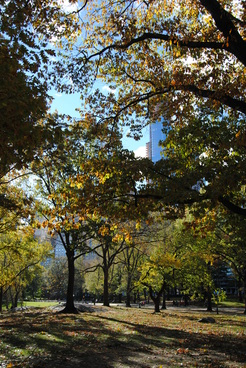 Central Park.