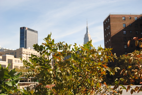 High Line.